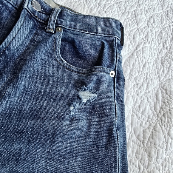 Everlane The Way High Jean Organic Cotton Straight Leg Raw Hem - Distressed 24R - Picture 5 of 16